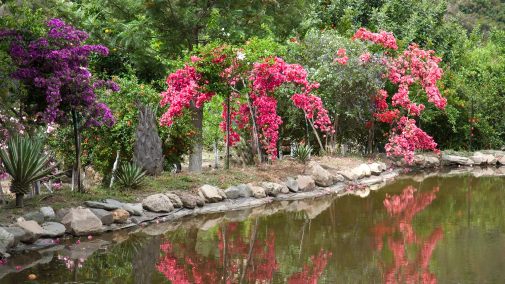 botanical garden chania lake