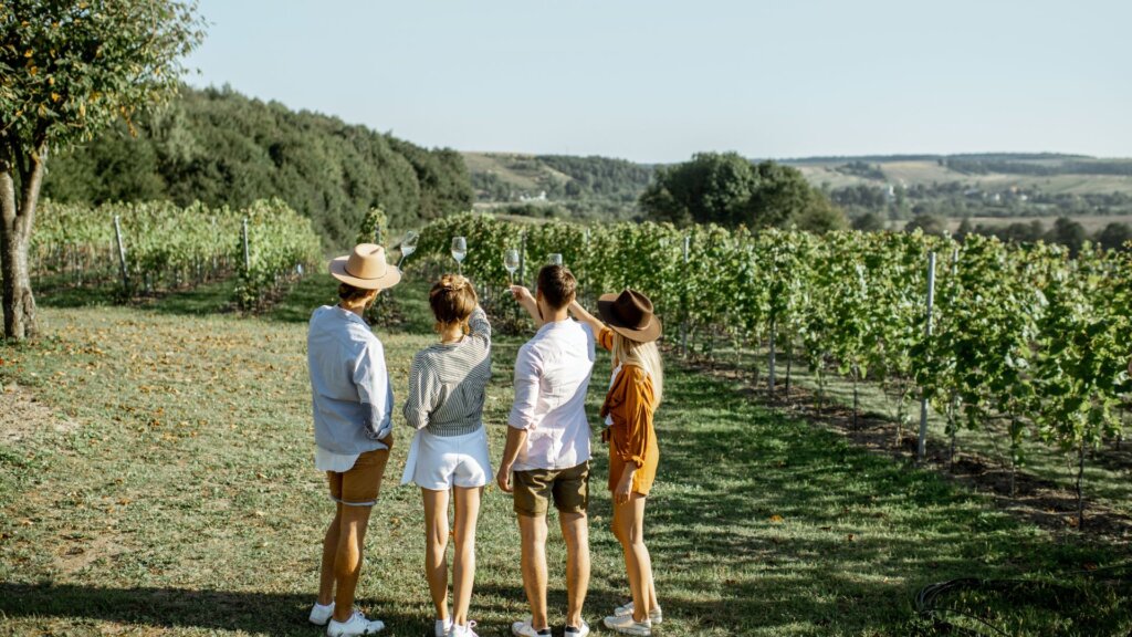 wine tasting crete