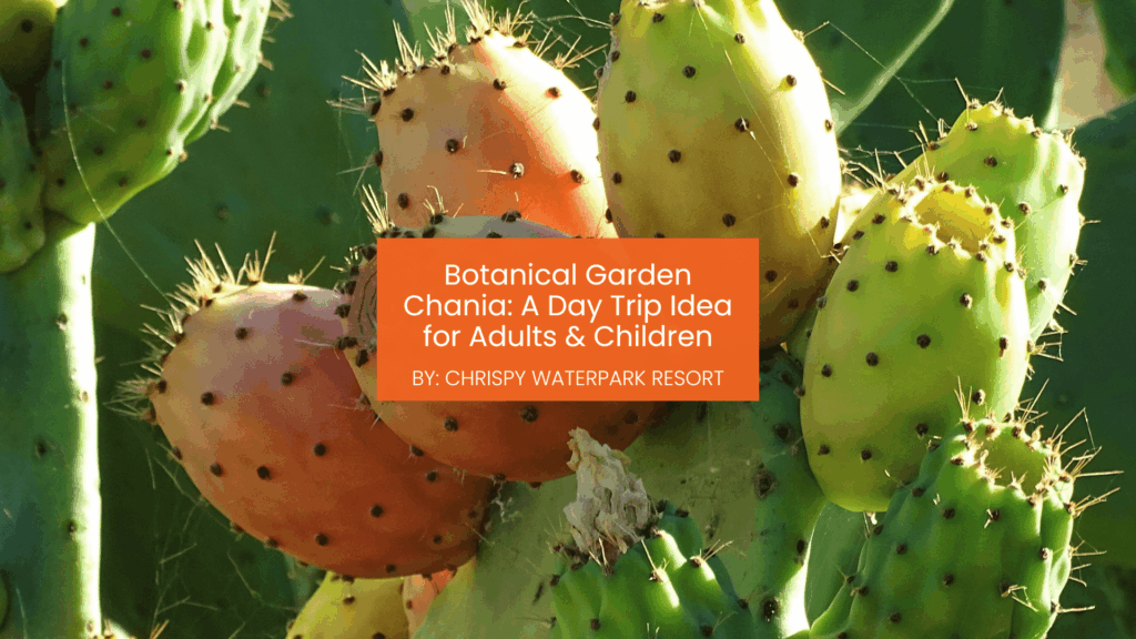 botanical garden chania